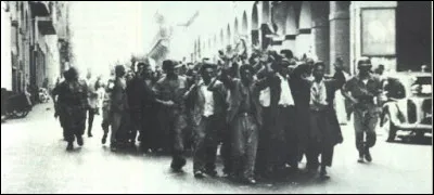 Les massacres de Constantinois, tueries perpétrées par le FLN puis, en représailles, par l'armée française et des civils pieds-noirs armés, creusent un fossé entre les communautés et enfoncent l'Algérie dans la guerre : c'était en ...