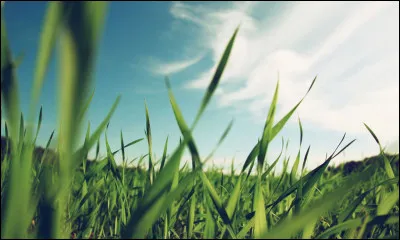 Dans quel roman de Boris Vian rencontre-t-on un ingénieur nommé Wolf ?