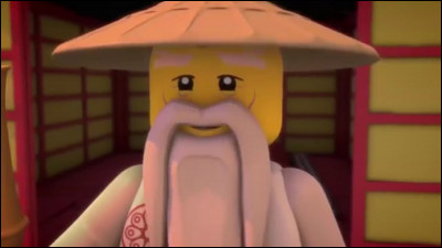 Le Sensei du groupe des ninjas, il est le fils du premier ma&icirc;tre du spinjitsu. Il est amoureux de Misako.