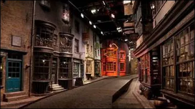 Sur le chemin de Traverse, dans quelle boutique irez-vous ?