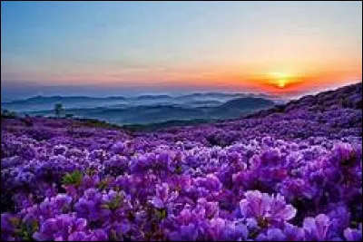 Quelle est la qualité que vous appréciez le plus chez les autres ?