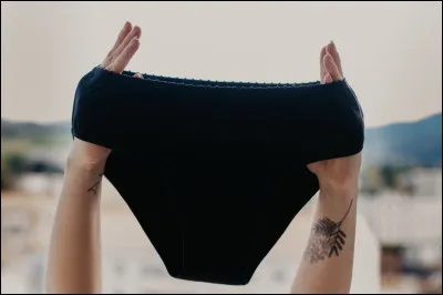 Quelle chanteuse lance sa culotte au public lors de son concert au parc de Sceaux en 1987 ?