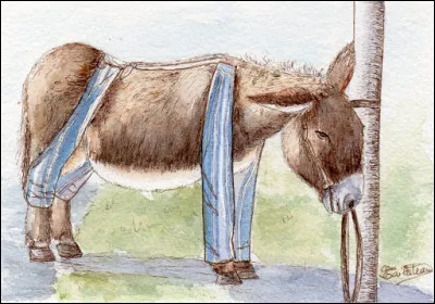 A qui doit-on le roman "L'Âne Culotte" publié en 1937 ?