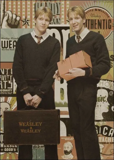 Comment s'appellent les deux jumeaux ?