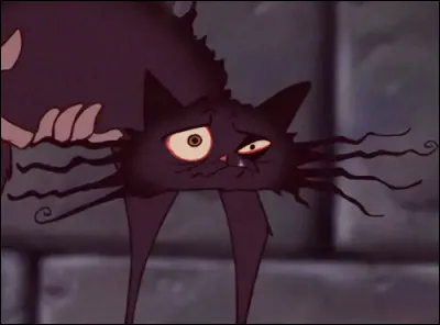 Où voit-on ce chat ?