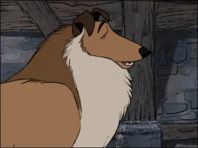 Doù vient ce chien ?