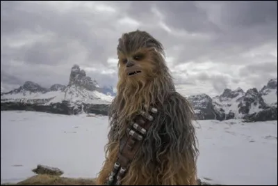 Chewbacca appara&icirc;t dans ce film.