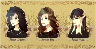 Qui est le père de Bellatrix, Narcissa et Andromeda ? Normalement ce sont des chiffres romains.