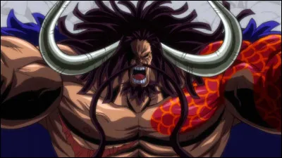 Combien de fois Kaïdo s'est-il fait capturer ?