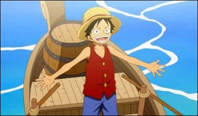 Comment s'appelle le village natal de Luffy ?