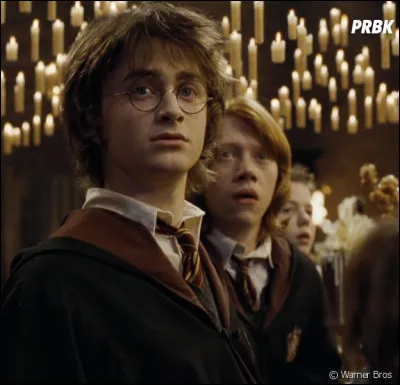 De quelle forme est la cicatrice de Harry ?