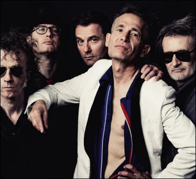 Quel est ce groupe de rock français, à qui l'on doit notamment les titres "Manu Chao", "Chirac en prison" et "Rimini" ?