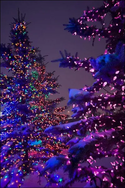 A partir de quelle année le mercredi devient-il un jour durant lequel il n'y a pas forcément école pour les écoliers en France, à la place du jeudi ?