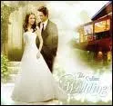 Bella et Edward se marient dans le 4. Ou passent-ils leurs noces ?