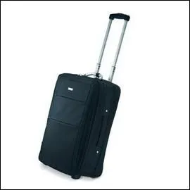 Qui fait la valise de Bella dans le 4 pour ses noces ?