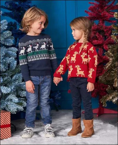 Quel pull préfères-tu ?