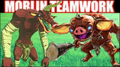 Quel est l'ordre des difficultés des couleurs des Moblins et des Bokoblins (voir photo) ?