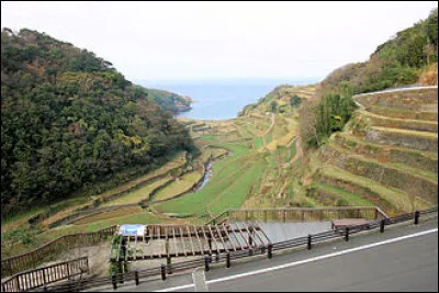 Trouve t'on des rizières en France ?