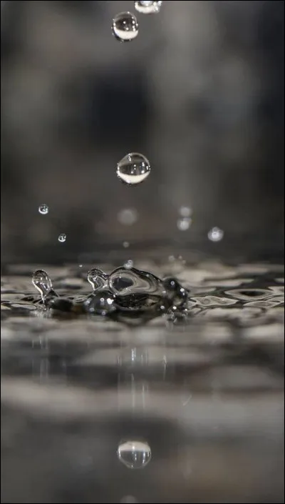 Dans quelle partie de la France qualifiait-on autrefois une sole de culture de "saison" ?