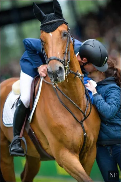 En amour, tu es plutôt...