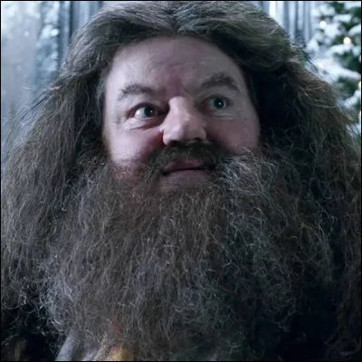 Quel est le nom complet de Hagrid ?