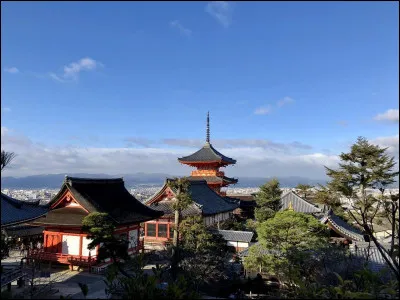 Cette île japonaise est, avec 230 000 km², la huitième plus grande île au monde, et avec 100 millions d'habitants, elle est la deuxième île la plus peuplée au monde :