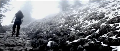 Complétez : 
"Liegt es nun vor uns, ja so..."