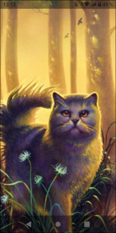 Quel guérisseur préfères-tu ?