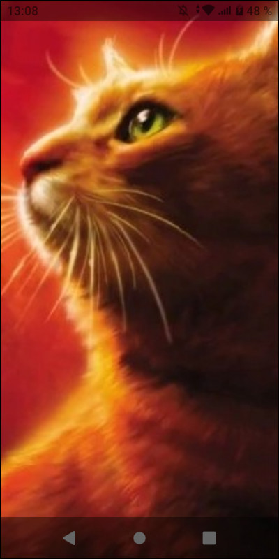 Quel chef préfères-tu ?