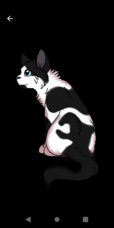 Quel solitaire préfères-tu ?