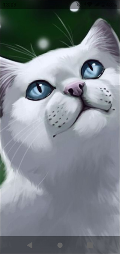 Quel chat de la famille d'Étoile de Feu préfères-tu ?