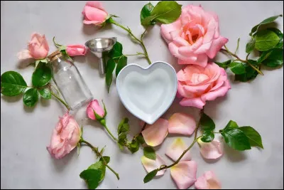 Quelle actrice joue dans "La Dame aux Camélias" ?