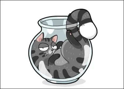 Je vis dans un aquarium et porte le nom de ma couleur. Pourtant, les anglais mappellent poisson doré, ce qui est faux. On associe mon nom au fait davoir une mauvaise mémoire.