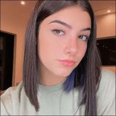 Comment s'appelle le père de Charli ?