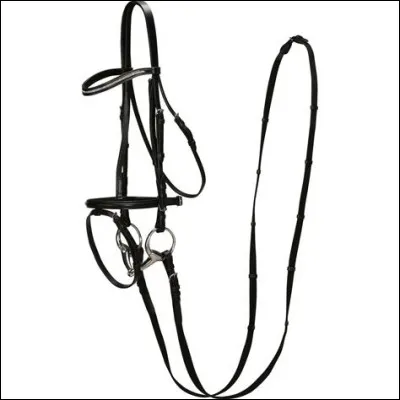 Comment s'appelle l'objet sur la photo ?