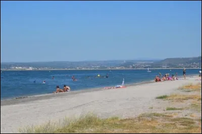 Tient la vedette sur les planches, c'est le...