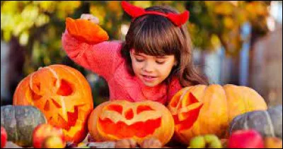 Mais qui sont ces auteurs ?