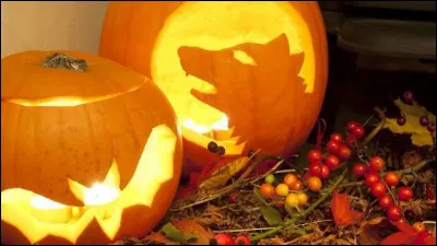 Pourquoi du orange et du noir ?