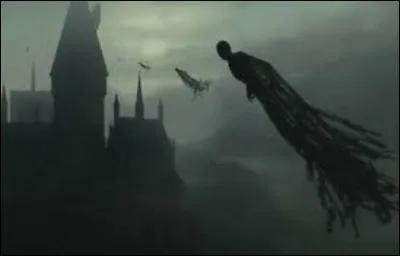 Combien de fois, l'auberge de Rosmerta a-t-elle était fouillé par les Détraqueurs ?