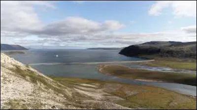 Cette île russe de l'océan Arctique vaste de 7600 km², située dans la mer des Tchouktches, à 143 km de la côte sibérienne, c'est l'île de ...
