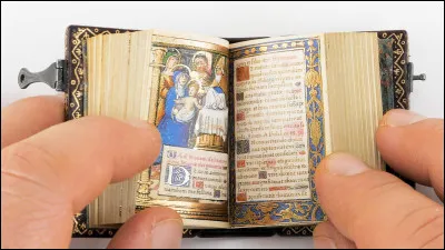 Mais d'un coup elle t'entraîne jusqu'au ruisseau qui coule à l'opposé de ta tente. Elle s'assoit brusquement et te tend un objet ; quel est cet objet ?