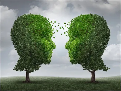 C'est le moment d'entrer ; entres-tu ?