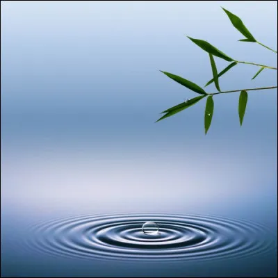 Au contraire, celui-ci doit avoir une histoire paisible.