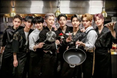 Quel est le nom du fandom de "Stray Kids" ?