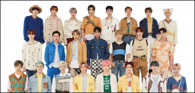 Quel est le nom du fandom de "NCT" ?