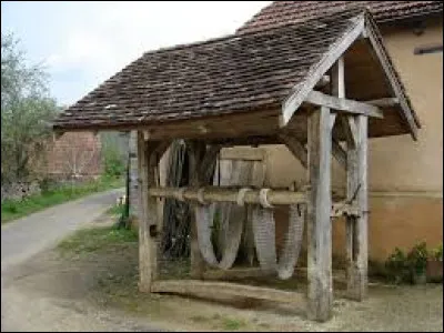 Nous partons dans le Périgord noir, à Castels. Ancienne commune néo-aquitaine, elle se situe dans le département ...