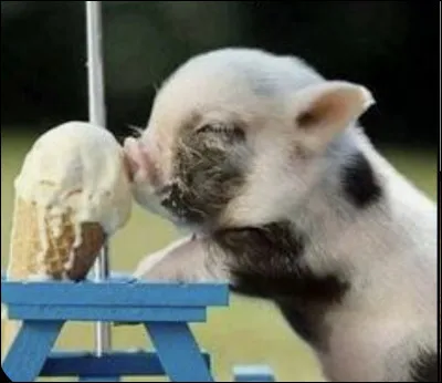 Qu'est-ce que c'est ?