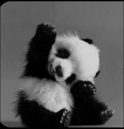 Qu'est-ce que c'est ?