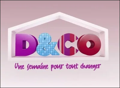 Quel programme de télévision en rapport avec un lieu d'habitation aimes-tu ?