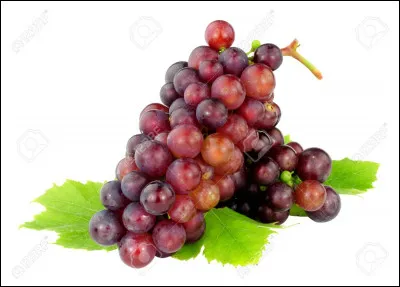 Et enfin, quel est le bon article ?